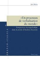 Jean Nimis, Luca Badini Confalonieri, Daniela Dalla Valle - « Un processus de verbalisation du monde », Häftad