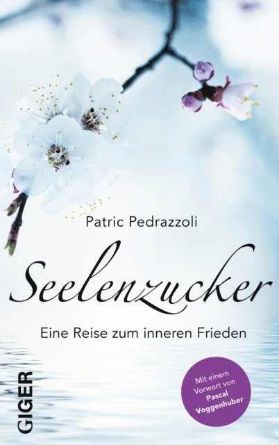 Patric Pedrazzoli - Seelenzucker, E-bok