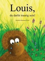 Rebekka Baumann-Fuchs - Louis, du darfst traurig sein!, Inbunden
