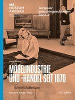 Dieter Pfister, Museum Aargau - Möbelindustrie und -handel seit 1870, Häftad
