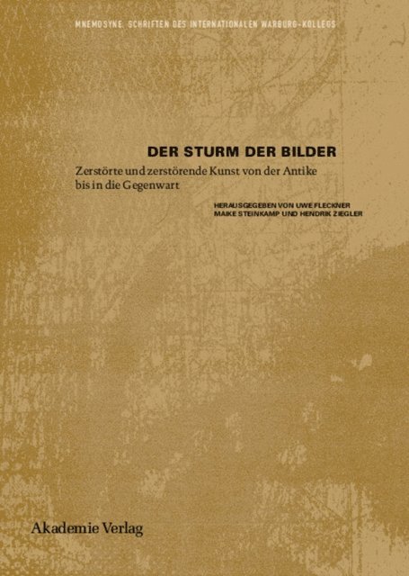 Hendrik Ziegler, Maike Steinkamp, Uwe Fleckner - Der Sturm der Bilder, E-bok