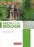 Fachwerk Biologie - Sachsen. 5. Schuljahr - neuer Lehrplan - Schlerbuch - Neubearbeitung
