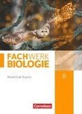 Fachwerk Biologie 8. Jahrgangsstufe - Realschule Bayern - Sch�lerbuch