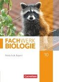 Fachwerk Biologie 10. Jahrgangsstufe - Realschule Bayern - Schlerbuch