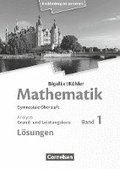 Bigalke/Khler: Mathematik. Band 1. Analysis. Mecklenburg-Vorpommern. Lsungen zum Schlerbuch