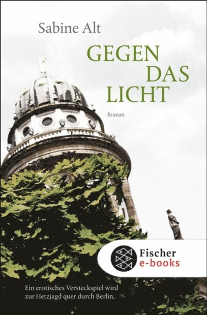 Sabine Alt - Gegen das Licht, E-bok