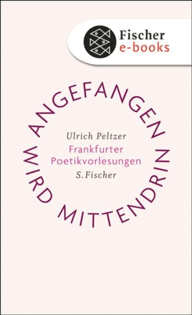 Ulrich Peltzer - Angefangen wird mittendrin, E-bok