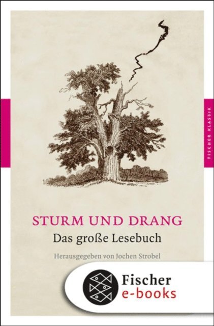Jochen Strobel - Sturm und Drang, E-bok