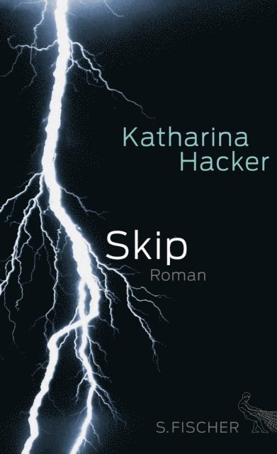 Katharina Hacker - Skip, E-bok
