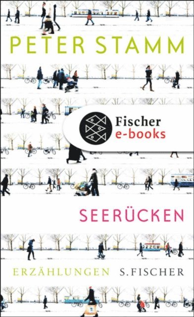 Peter Stamm - Seerücken, E-bok