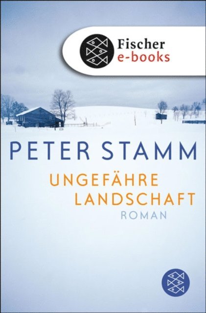 Peter Stamm - Ungefähre Landschaft, E-bok