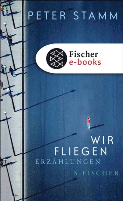 Peter Stamm - Wir fliegen, E-bok
