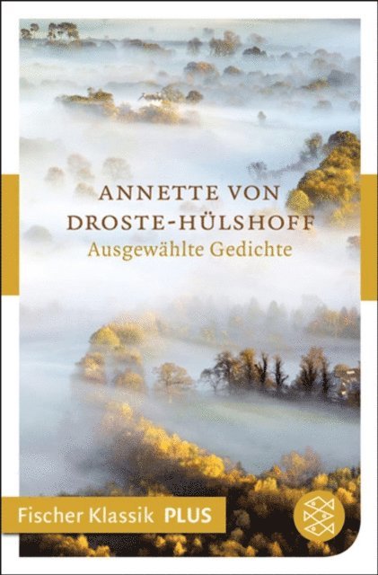 Annette von Droste-Hulshoff - Ausgewählte Gedichte, E-bok