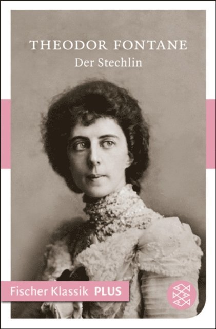 Theodor Fontane - Der Stechlin, E-bok