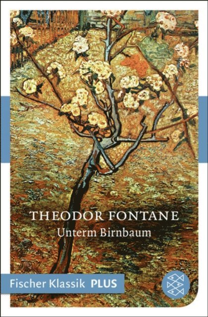 Theodor Fontane - Unterm Birnbaum, E-bok