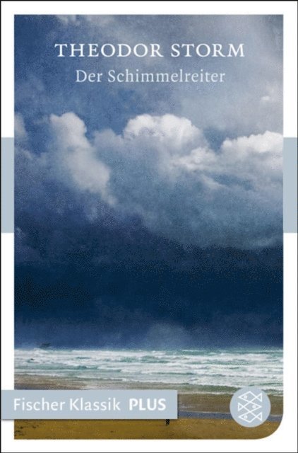Theodor Storm - Der Schimmelreiter, E-bok