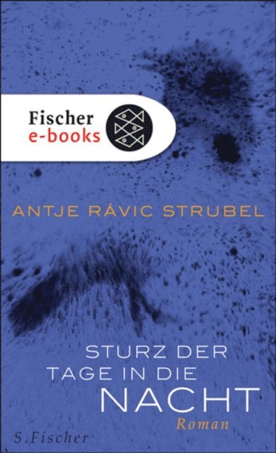 Antje Ravik Strubel - Sturz der Tage in die Nacht, E-bok