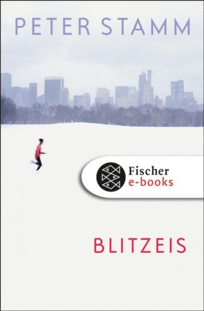 Peter Stamm - Blitzeis, E-bok