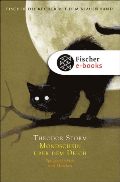 Theodor Storm - Mondschein über dem Deich, E-bok