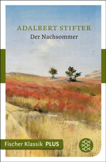 Adalbert Stifter - Der Nachsommer, E-bok