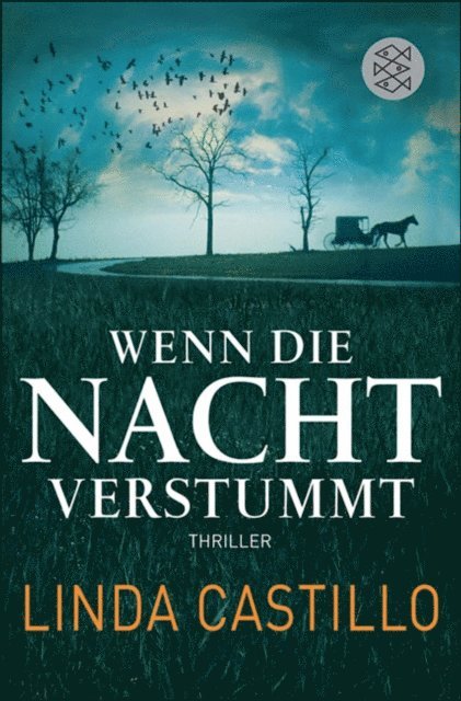 Linda Castillo - Wenn die Nacht verstummt, E-bok