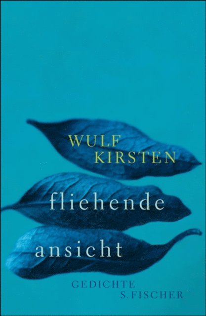 Wulf Kirsten - fliehende ansicht, E-bok