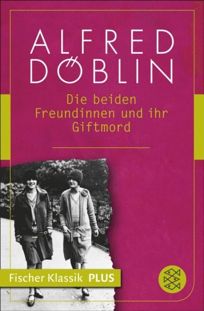 Alfred Doblin - Die beiden Freundinnen und ihr Giftmord, E-bok