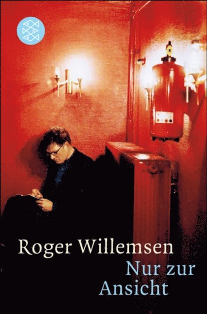 Roger Willemsen - Nur zur Ansicht, E-bok