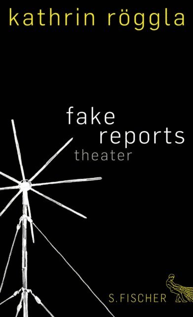 Kathrin Roggla - fake reports, E-bok