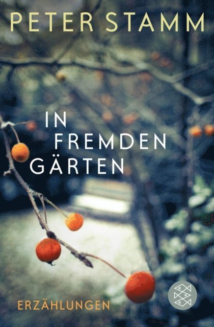Peter Stamm - In fremden Gärten, E-bok