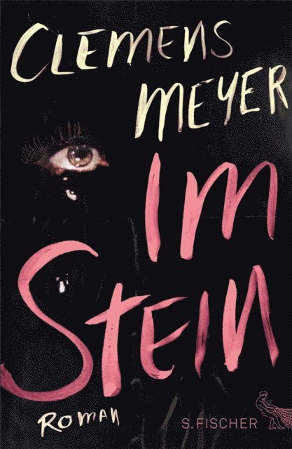 Clemens Meyer - Im Stein, E-bok