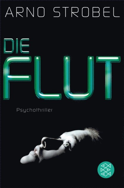 Arno Strobel - Die Flut, E-bok