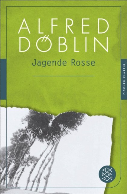 Alfred Doblin - Jagende Rosse, E-bok