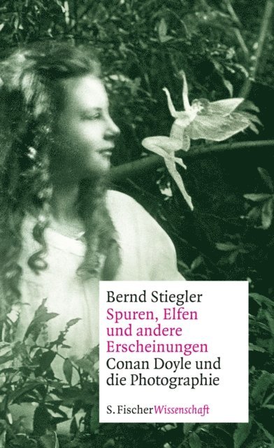 Bernd Stiegler - Spuren, Elfen und andere Erscheinungen, E-bok