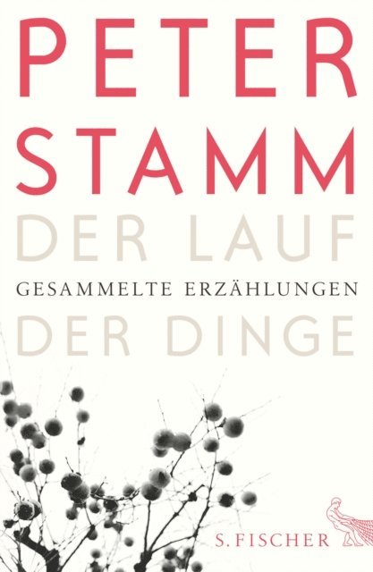 Peter Stamm - Der Lauf der Dinge, E-bok