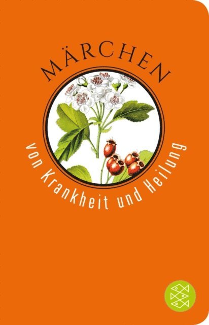 Stephan Marks - Märchen von Krankheit und Heilung, E-bok