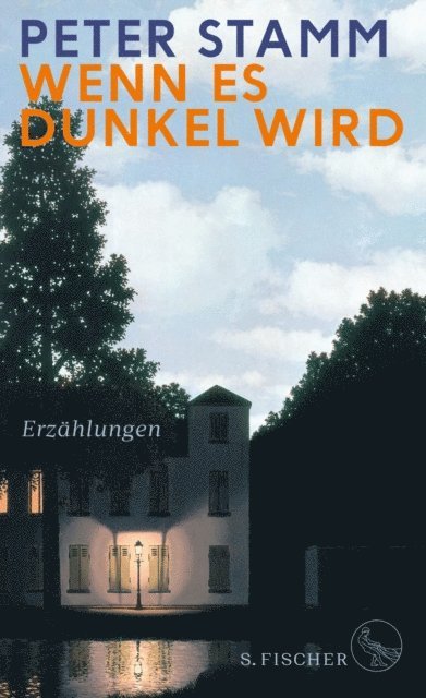 Peter Stamm - Wenn es dunkel wird, E-bok