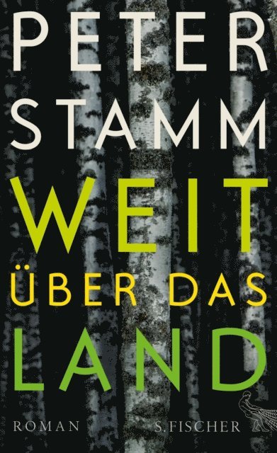 Peter Stamm - Weit über das Land, E-bok