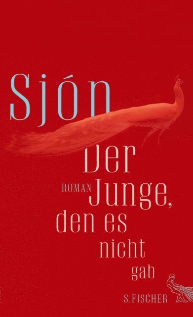Sjon - Der Junge, den es nicht gab, E-bok
