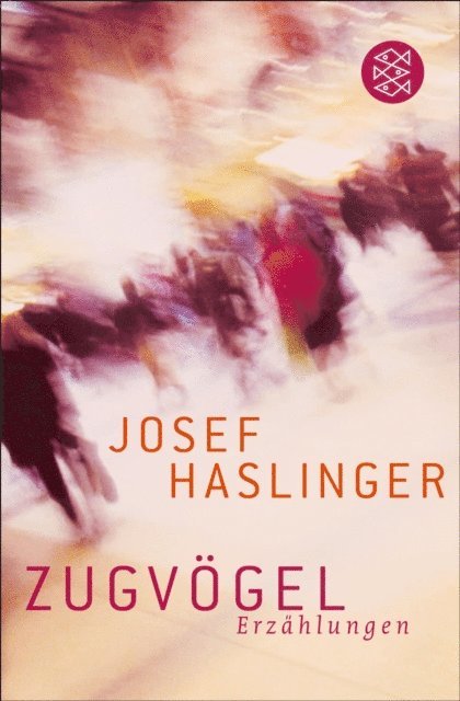 Josef Haslinger - Zugvögel, E-bok