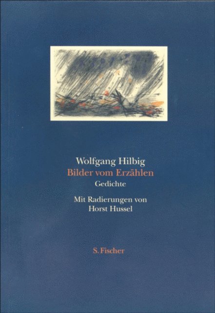 Wolfgang Hilbig - Bilder vom Erzählen, E-bok