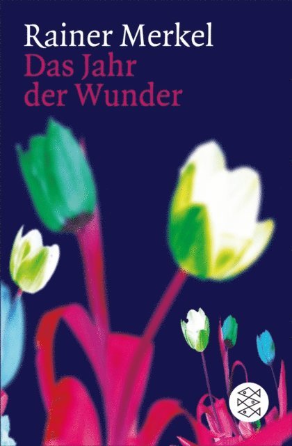Rainer Merkel - Das Jahr der Wunder, E-bok