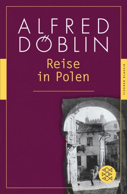 Alfred Doblin, Marion Brandt - Reise in Polen, E-bok