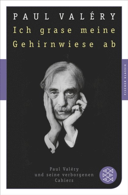 Paul Valery, Thomas Stolzel - Ich grase meine Gehirnwiese ab, E-bok
