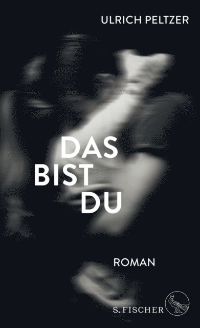 Ulrich Peltzer - Das bist du, E-bok
