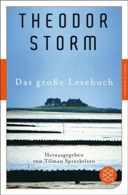 Theodor Storm, Tilman Spreckelsen - Das große Lesebuch, E-bok
