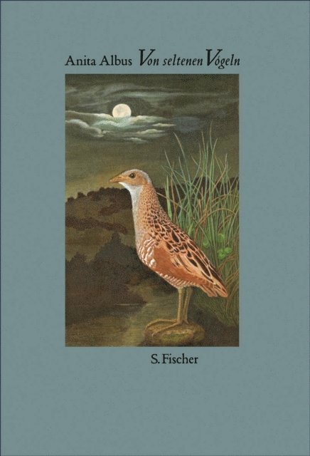 Anita Albus - Von seltenen Vögeln, E-bok