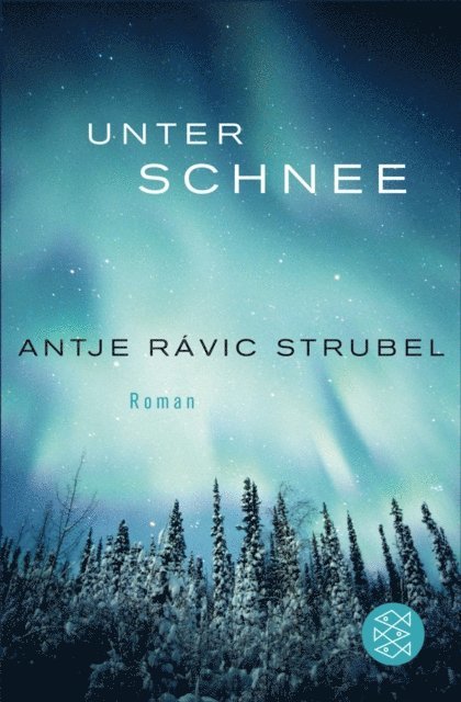 Antje Ravik Strubel - Unter Schnee, E-bok