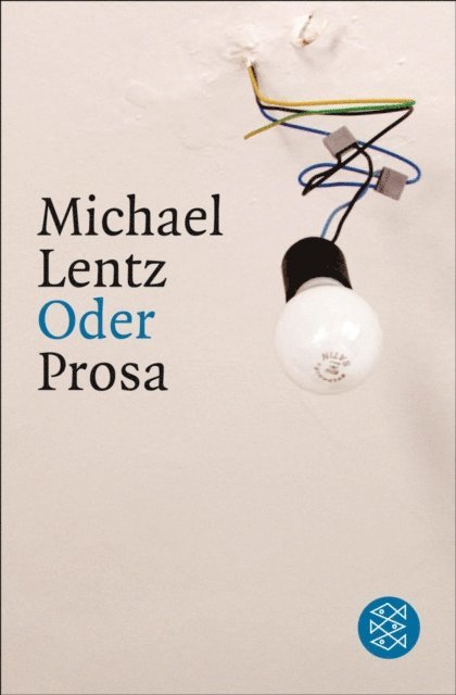 Michael Lentz - Oder, E-bok