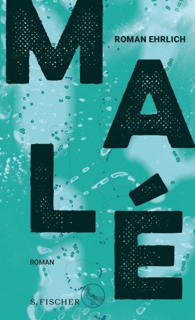 Roman Ehrlich - Malé, E-bok
